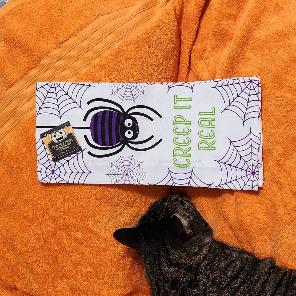 Kitchen towel
